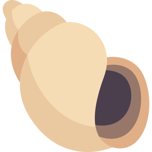 sea snail